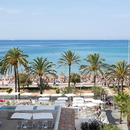Myseahouse Flamingo - Adults Only 4* Sup Playa de Palma (Mallorca)