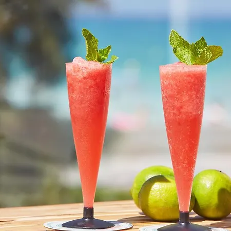 Myseahouse Flamingo - Adults Only 4* Sup Playa de Palma (Mallorca)